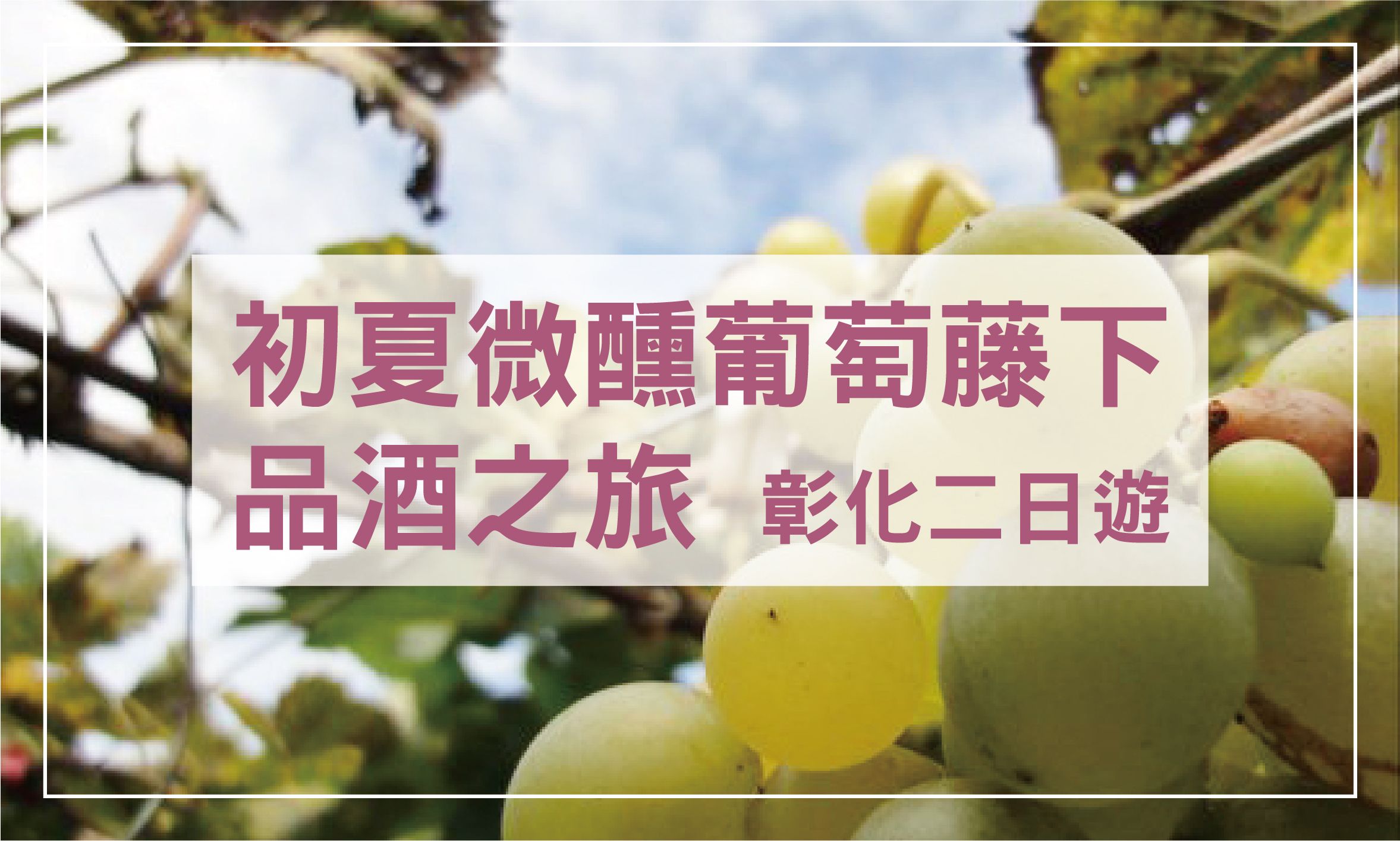 初夏微醺葡萄藤下品酒之旅｜彰化二日遊