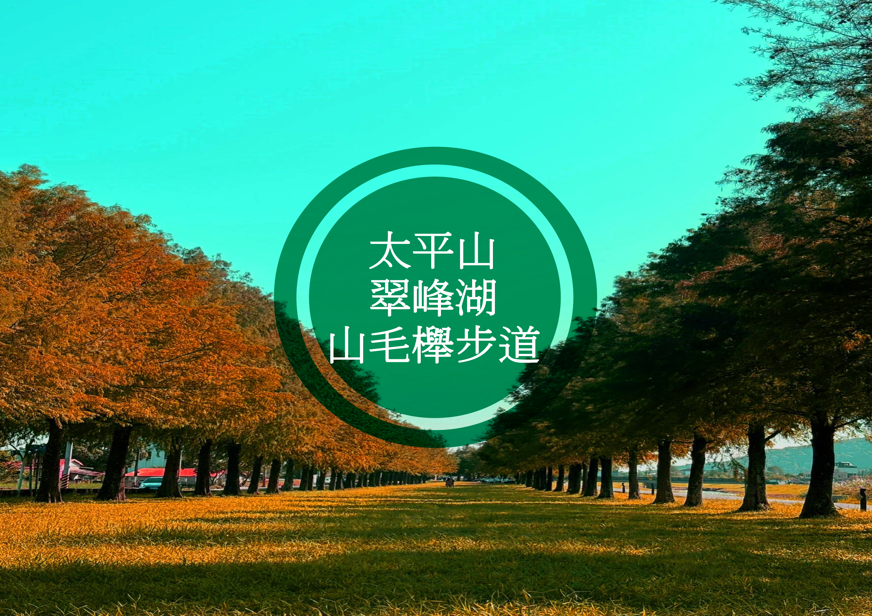 太平山・翠峰湖・山毛櫸步道 一日遊