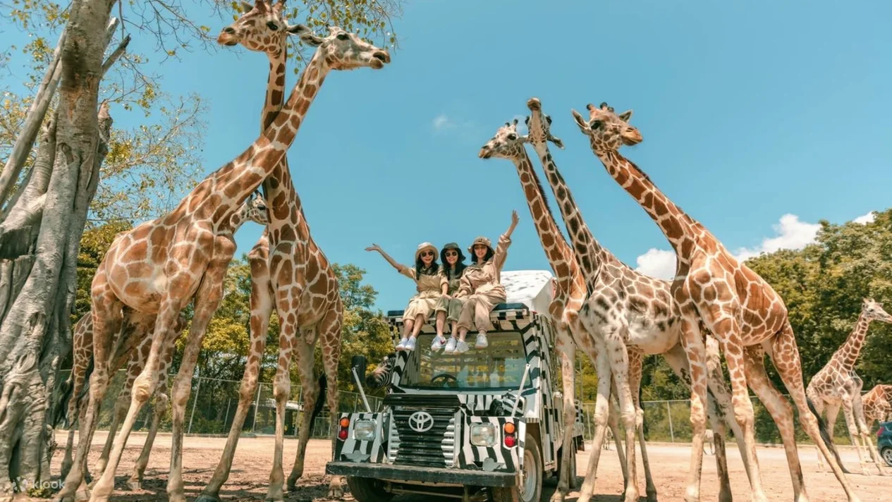 【泰國·泰好玩A團】曼谷x北碧野生動物園x桂河5+1日，網紅長頸鹿拍照和餵食、玻璃 屋網紅咖啡廳The village farm to cafe、北碧夜市、Meena café田園咖啡廳、穿梭舊時代場 景~茉莉之城+穿泰服體驗、桂河大橋、死亡鐵路搭火車體驗之旅、河畔景觀網紅餐廳