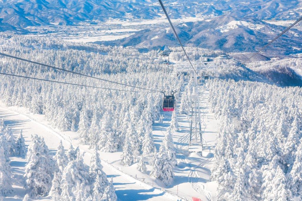 新穗高御在所岳雙纜車樹冰+夢幻宮殿名花點燈玩雪五日-OD999