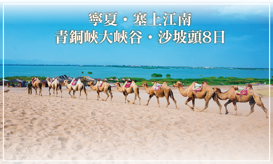 寧夏．塞上江南．青銅峽大峽谷．沙坡頭8日