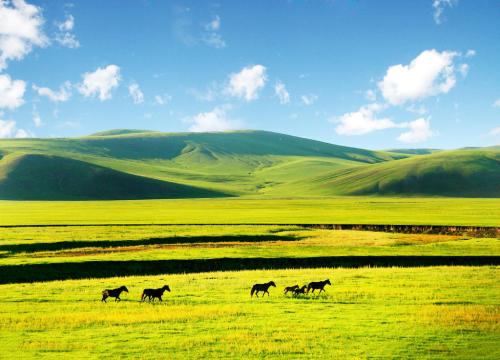 內蒙古希拉穆仁大草原、沙漠迪士尼響沙灣 烏蘭哈達火山、馬刨山溫泉八天            