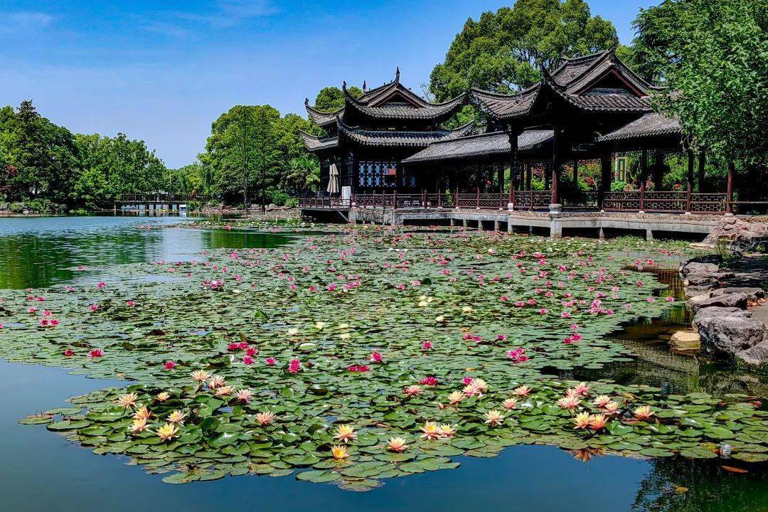 水墨徽皖.瑯玡山.桃花源.敬亭山.東方鹽湖城. 皖南千年雙古鎮五星8天